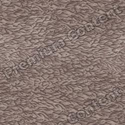 High Resolution Seamless Textures 0075